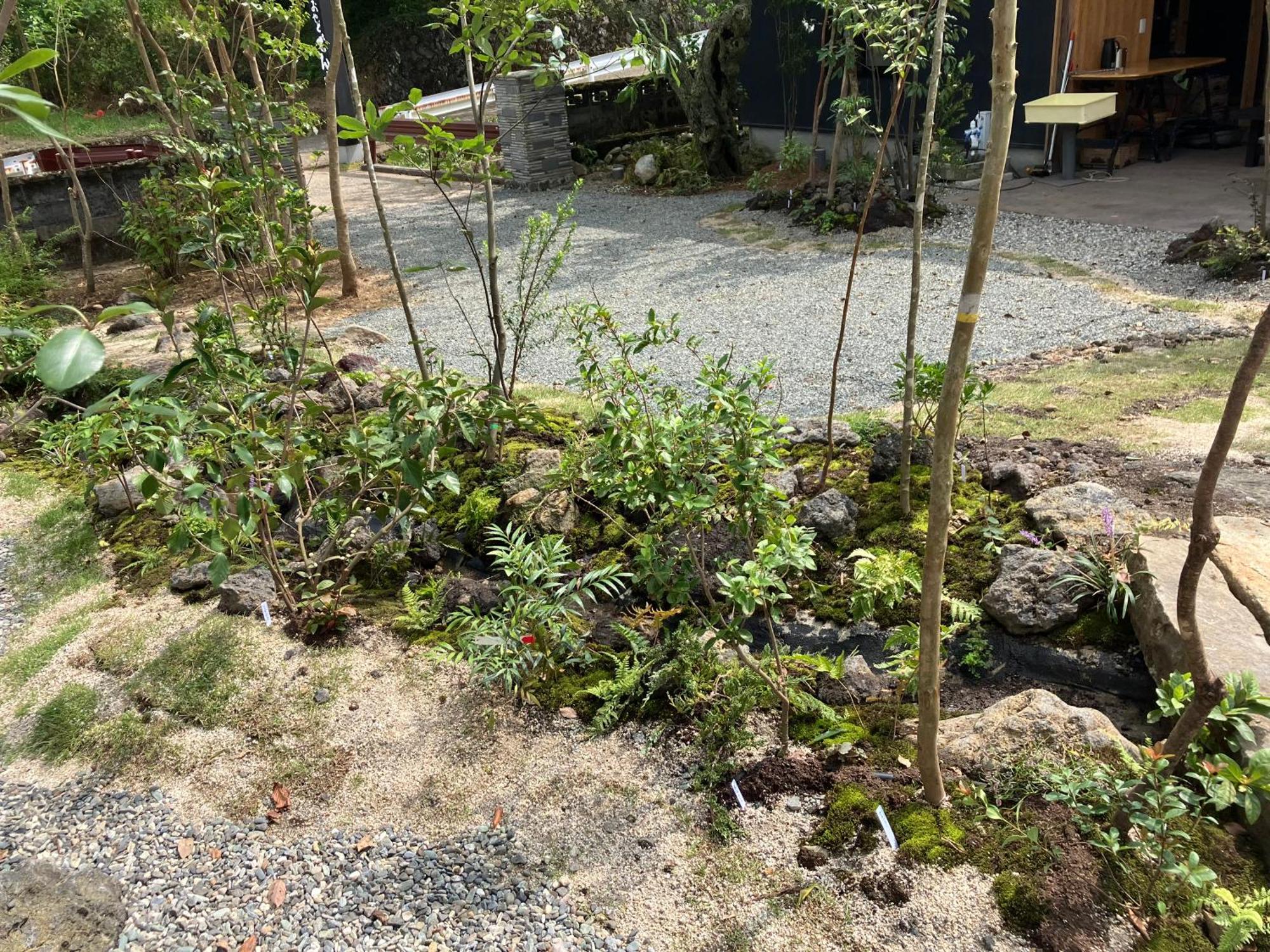 お宿でん吉 Minamiaso Exteriör bild